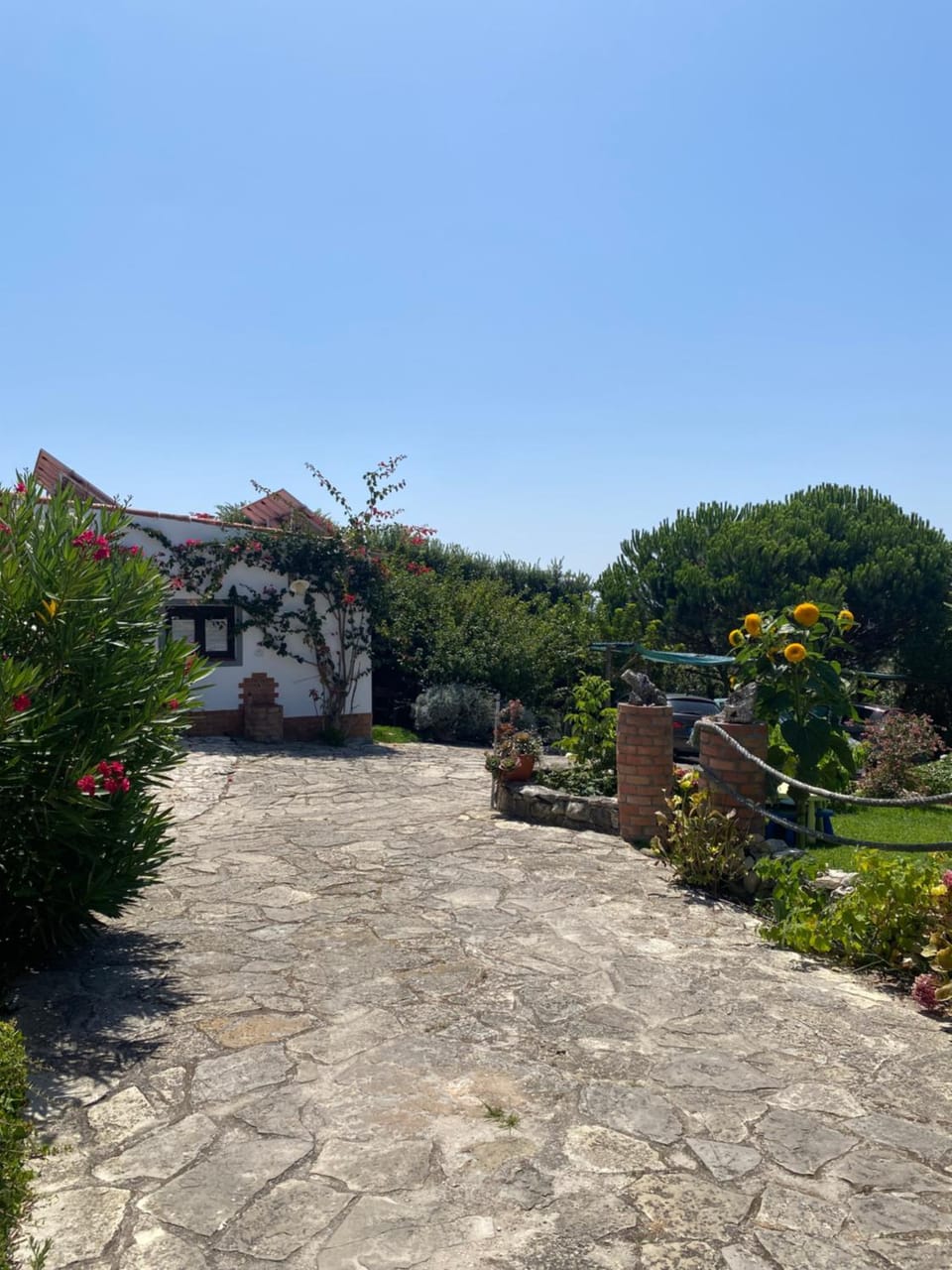 Day, Garden, Garden view