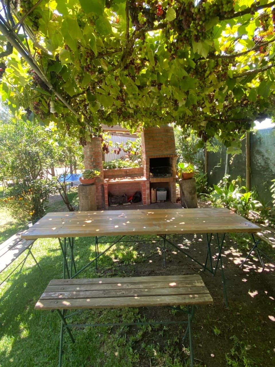 Day, Garden, Garden view