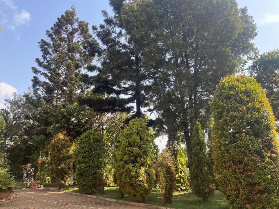Echo lodge Nature lodge in Kampala