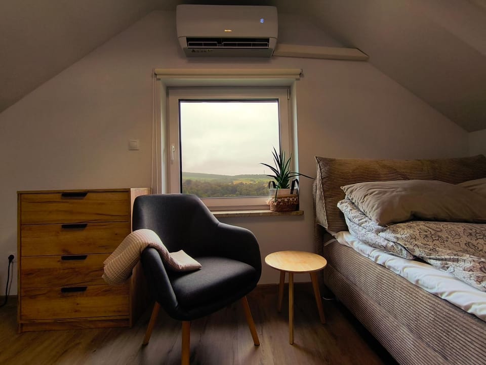 View (from property/room), Living room, Photo of the whole room, Bedroom, air conditioner