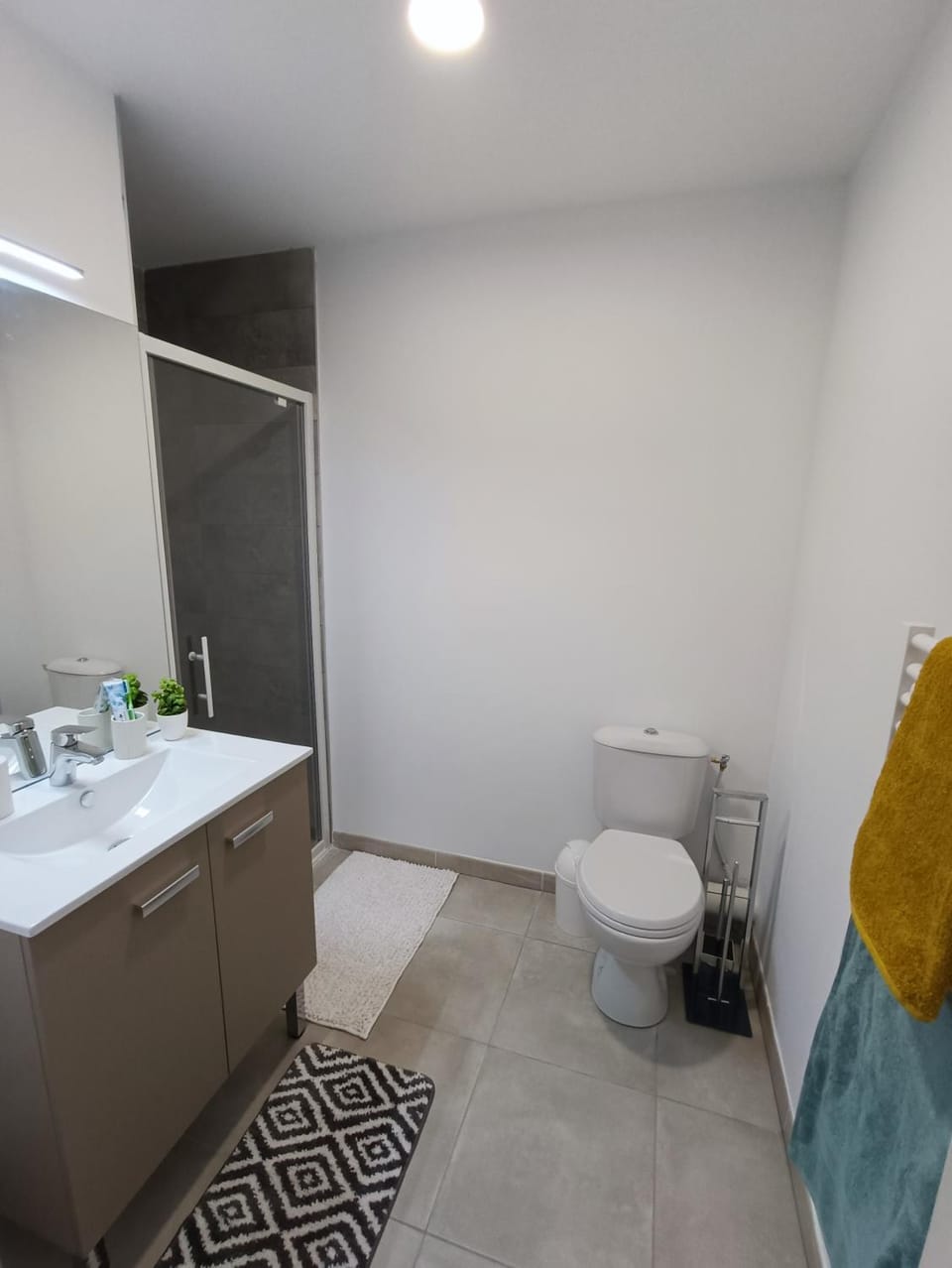 Toilet, Bathroom