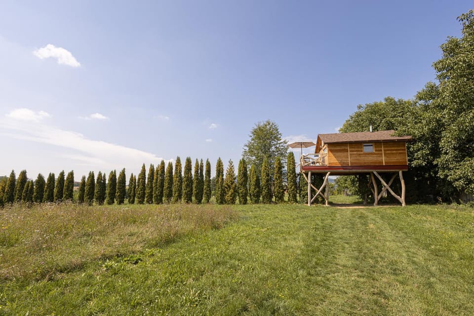 Ptačí domek House in Czechia