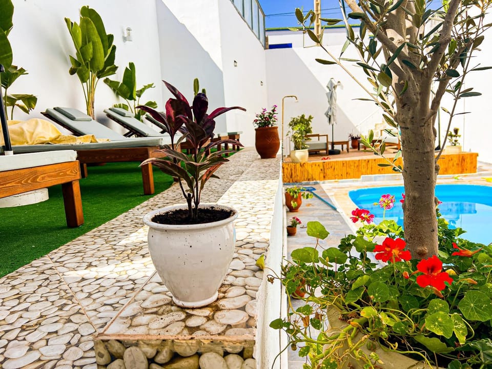 Patio, Day, Garden, Garden, Balcony/Terrace, Garden view, Pool view, Swimming pool, sunbed