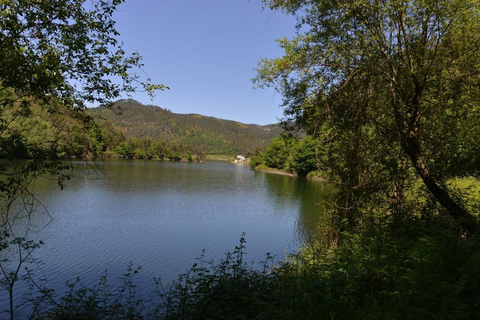 Natural landscape, River view