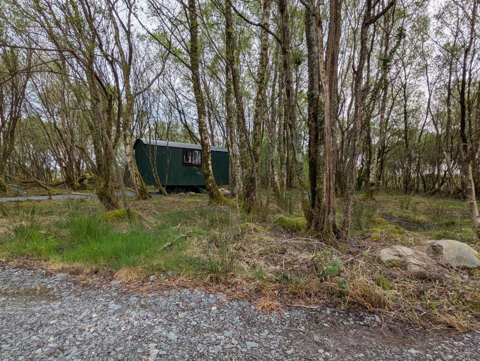 Hideaway Glamping cabin- Caban cudd Cabin in Wales