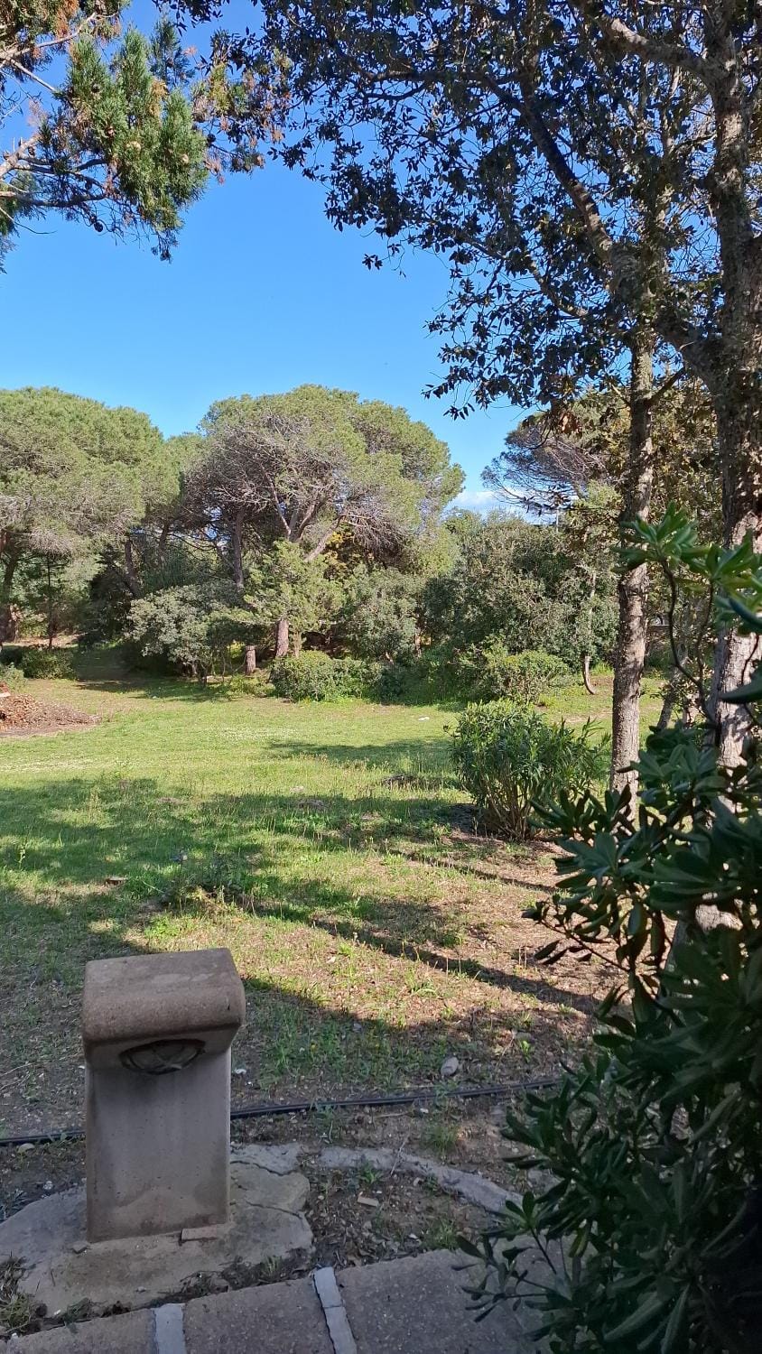Natural landscape, Garden view