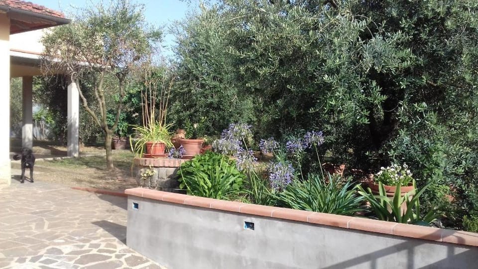 La Terrazza di Cascia Apartment in Reggello