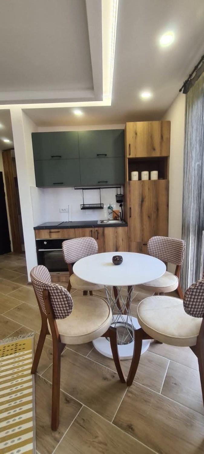 Studio Andrea Apartment in Zlatibor District, Serbia