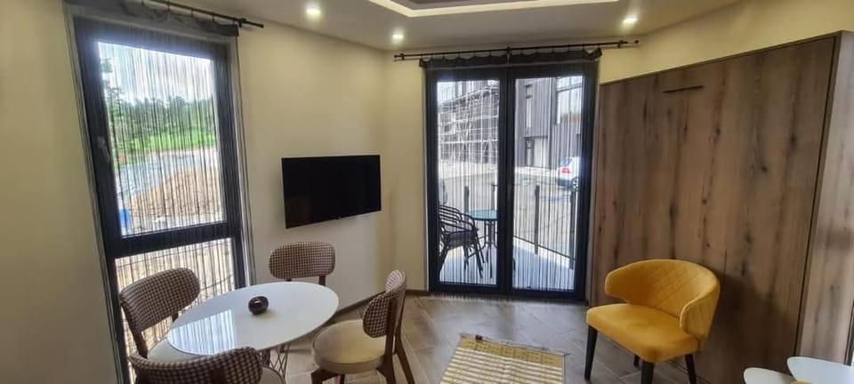 Studio Andrea Apartment in Zlatibor District, Serbia