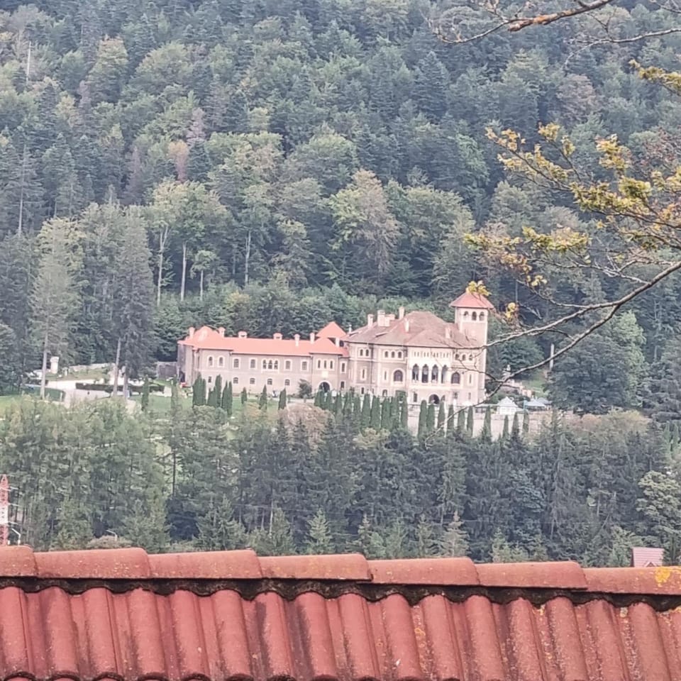 Landmark view