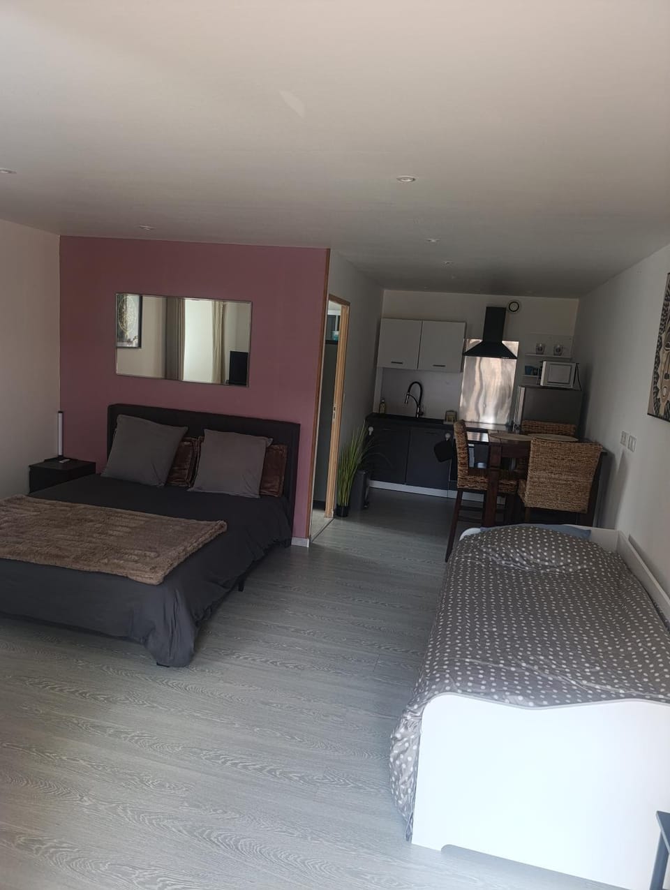 Grand studio dans maison parking privé gratuit Apartment in Grand Est