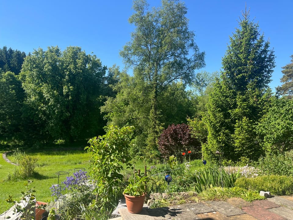 2 Personen Appartement Sonnental Apartment in Bad Tölz