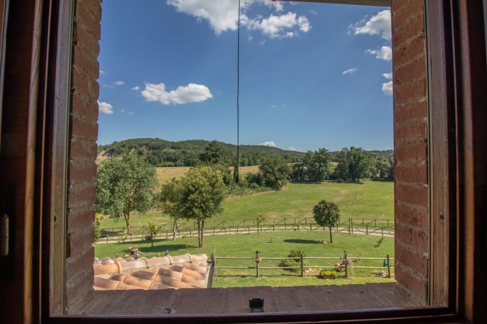 Agriturismo GREPPA BOVI Farm Stay in Tuscany