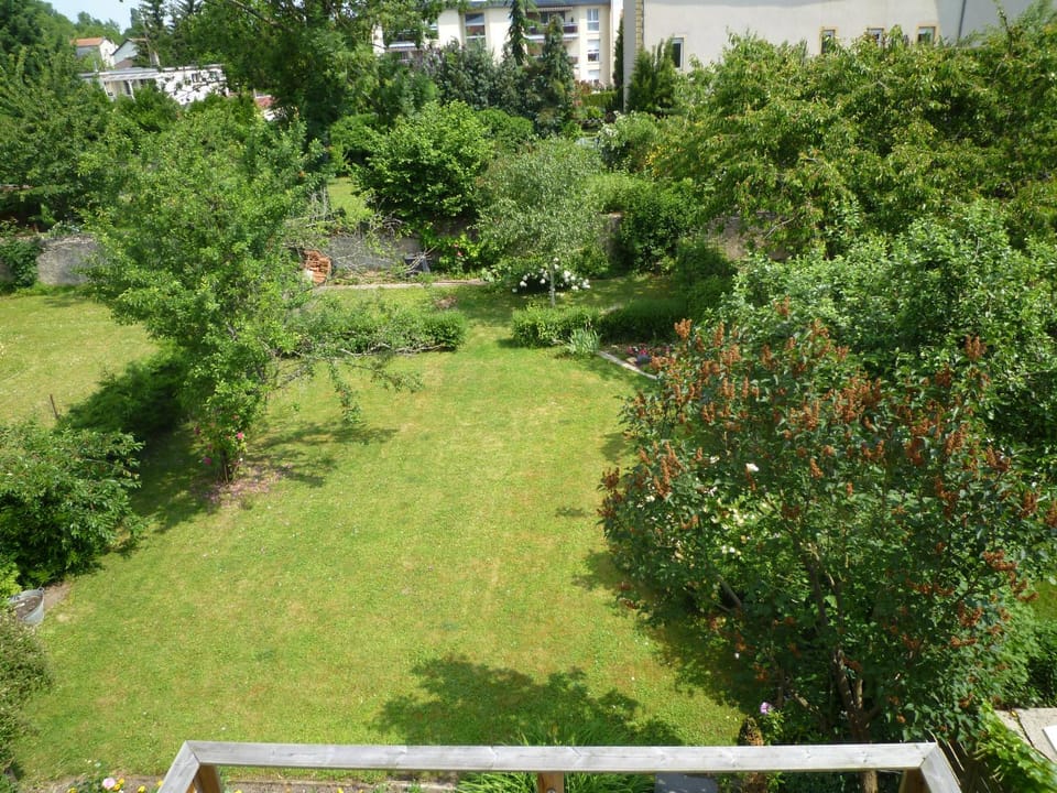 Property building, Garden view