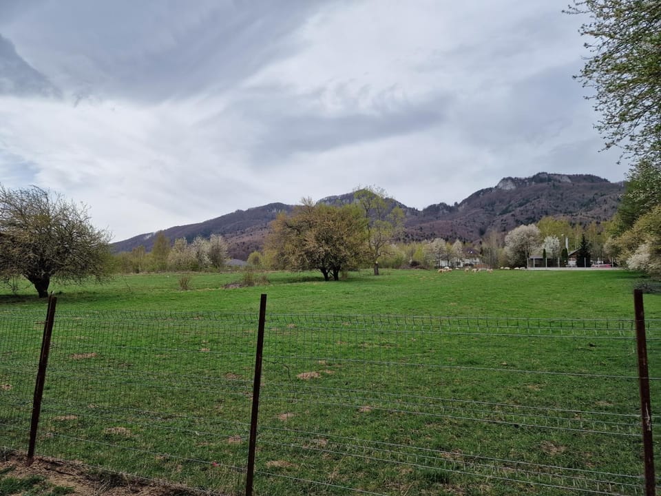 Mountain view