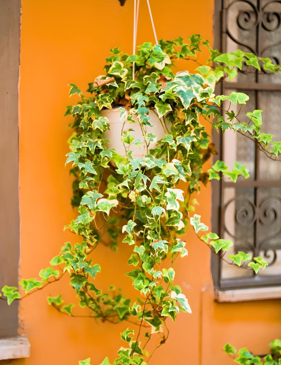 Patio, Decorative detail