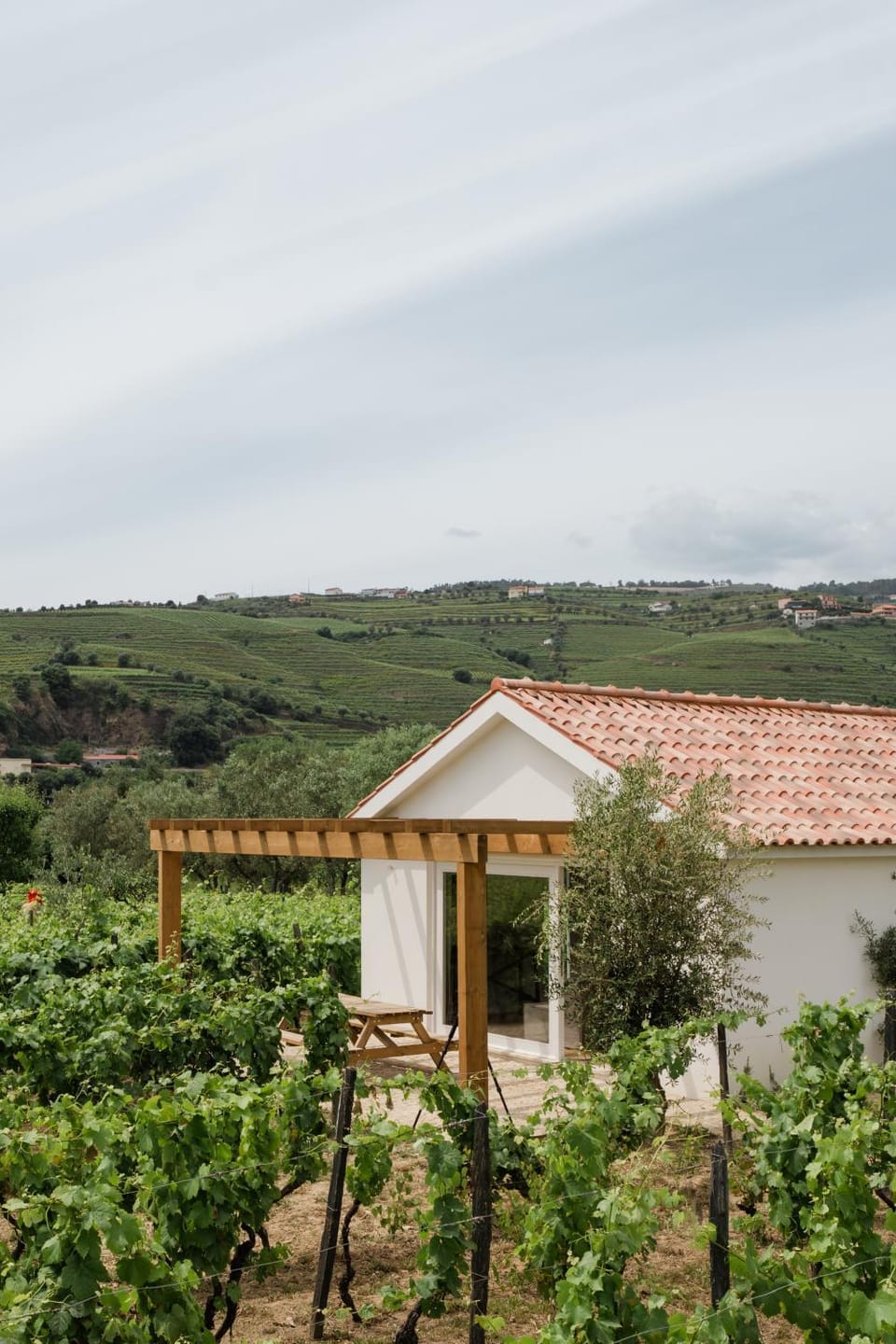 IMAGO Houses - Private Pool - Douro Valley - by MET Villa in Vila Real District