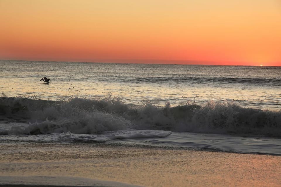 Writers Cove by Carolina Beach Realty Apartment in Carolina Beach