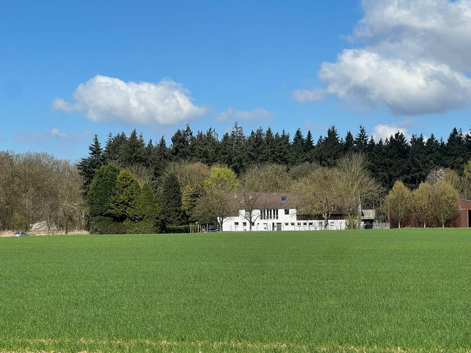 Property building, Natural landscape