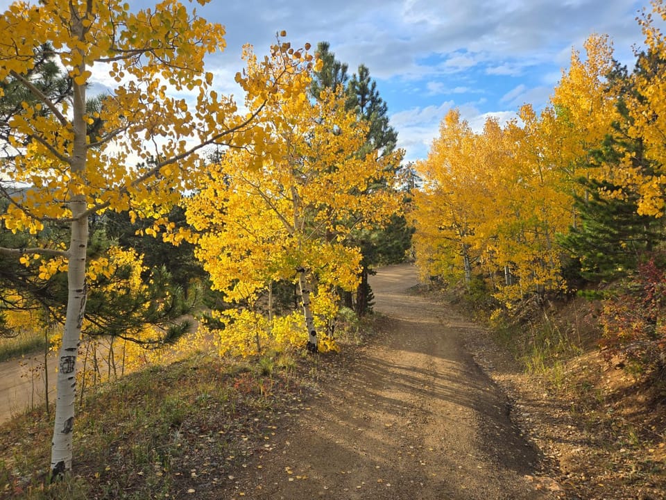 Moose Manor House in Colorado