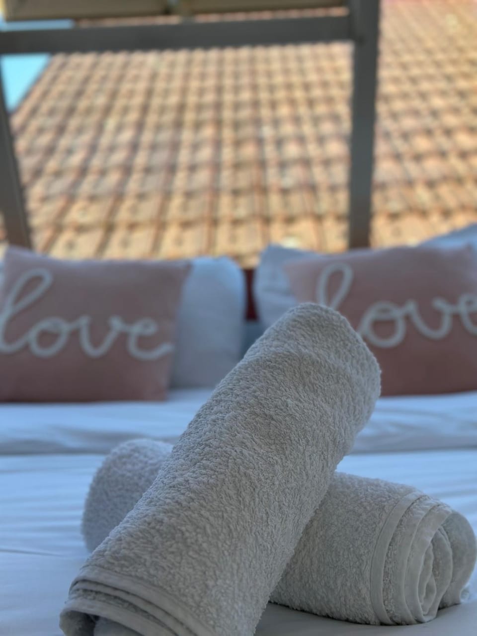 Loft avec Jaccuzi Apartment in Le Mans