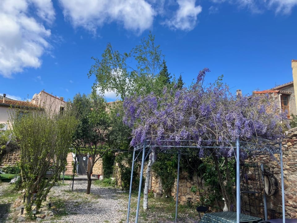 Day, Garden