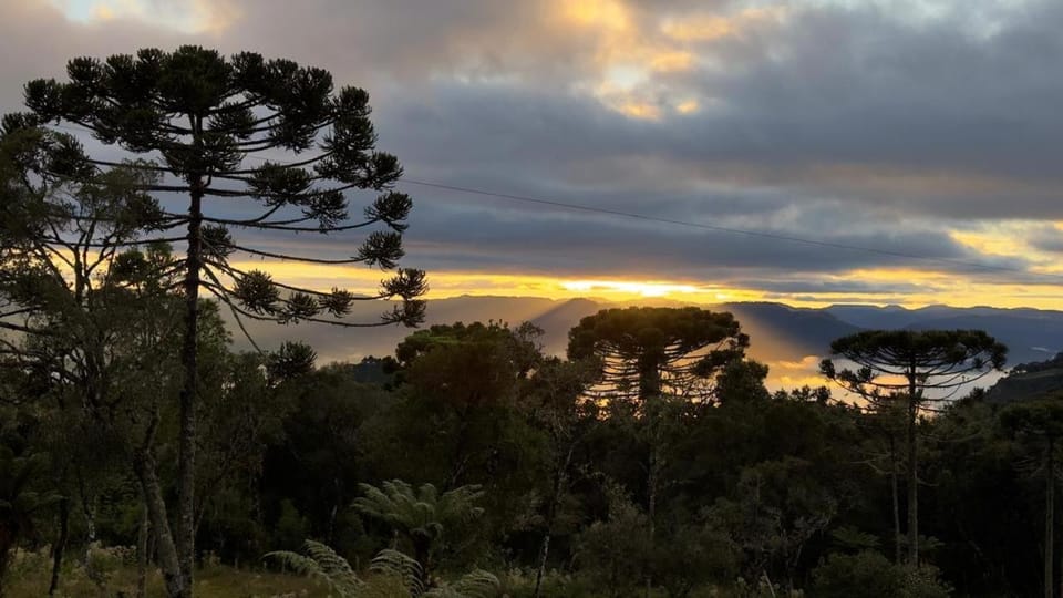 Natural landscape