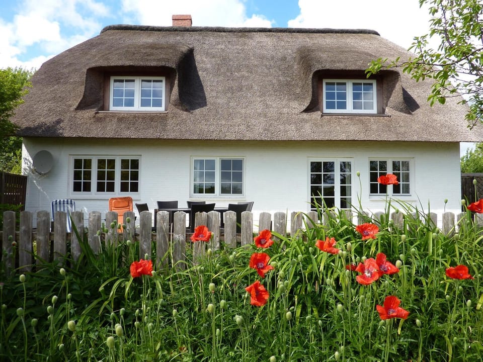 Property building, Garden, Garden view