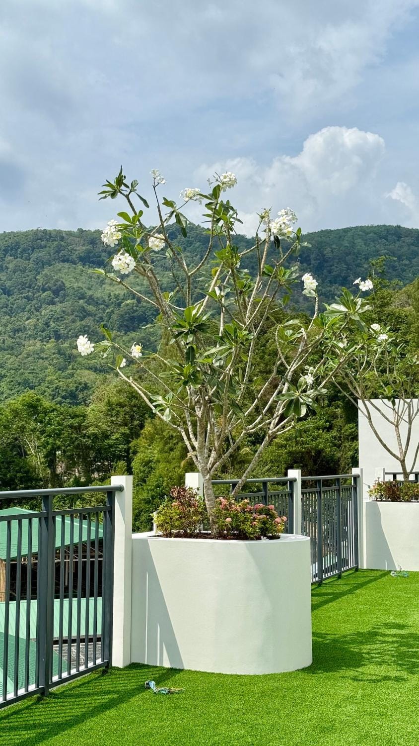 Day, Natural landscape, Garden, Garden view, Mountain view