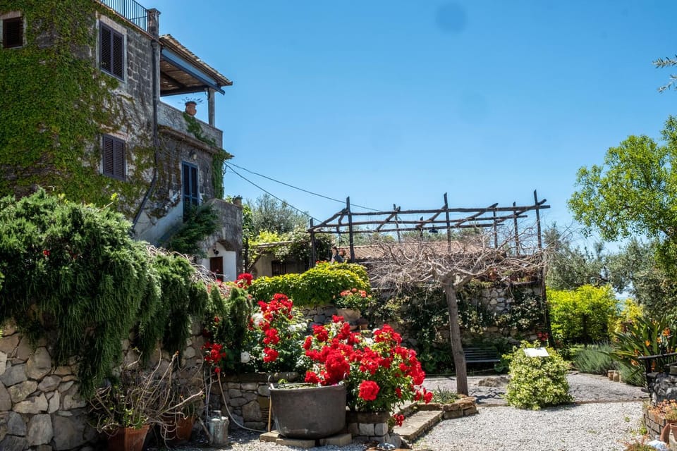 Spring, Garden, Garden