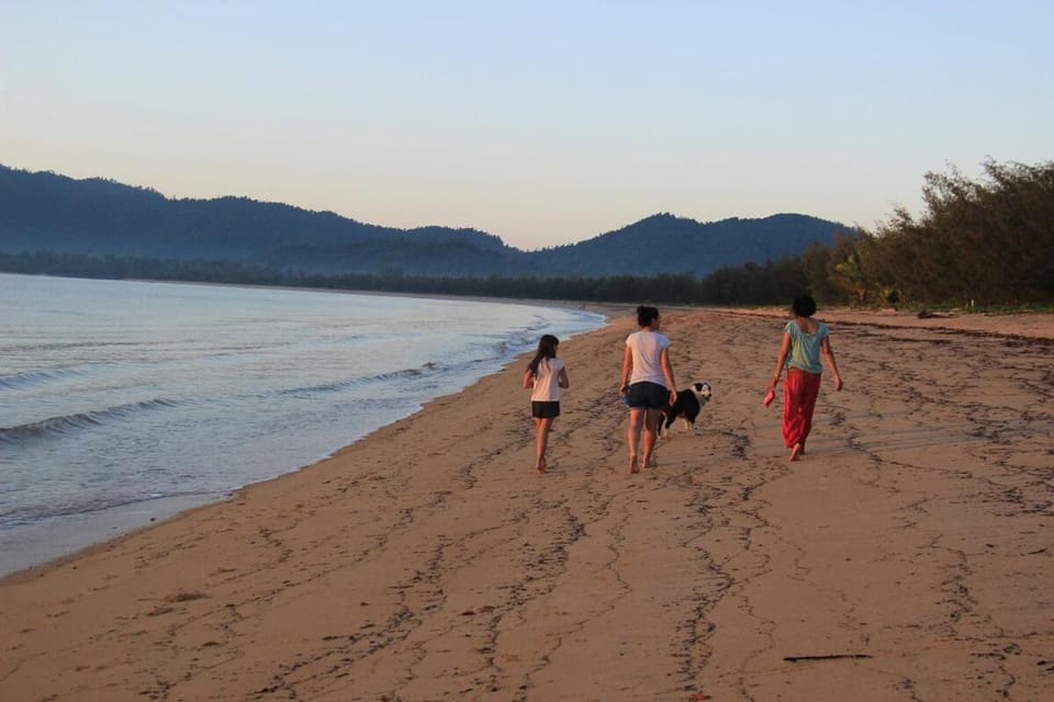 Day, People, Natural landscape, Beach, children, group of guests
