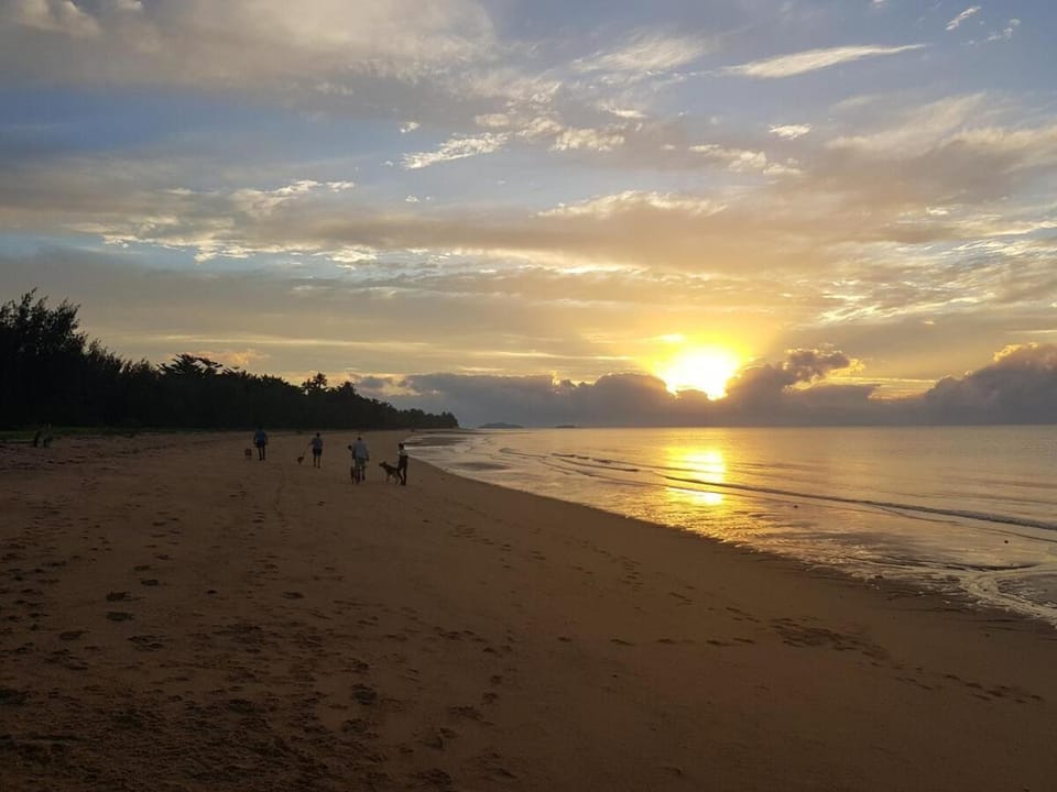 Day, People, Natural landscape, Beach, Sea view, Sunrise, group of guests