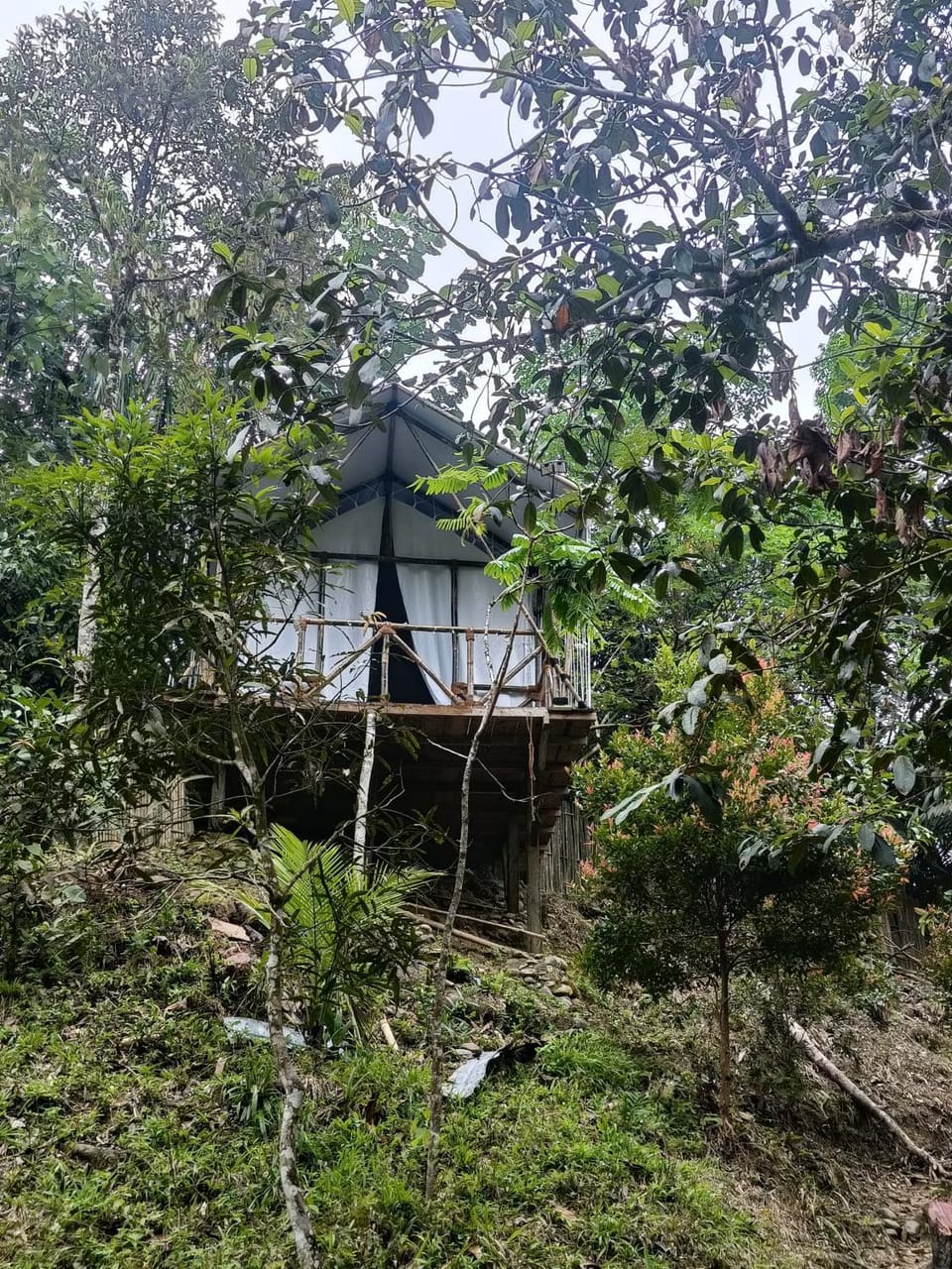 Escape Leuser Glamping Luxury tent in Indonesia