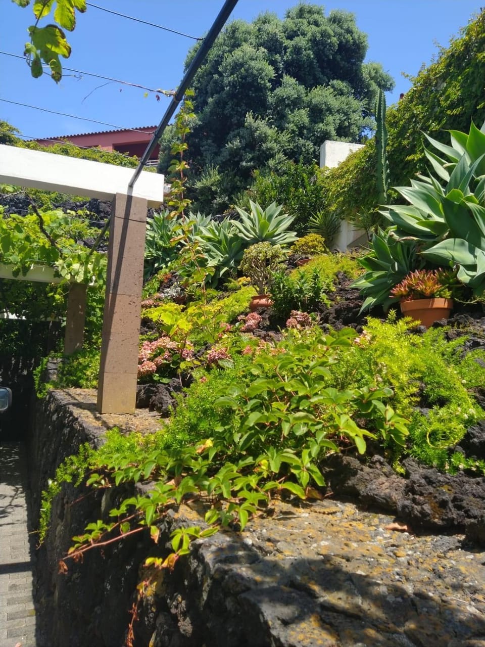 Casa Belcanto da Fajã House in Azores District