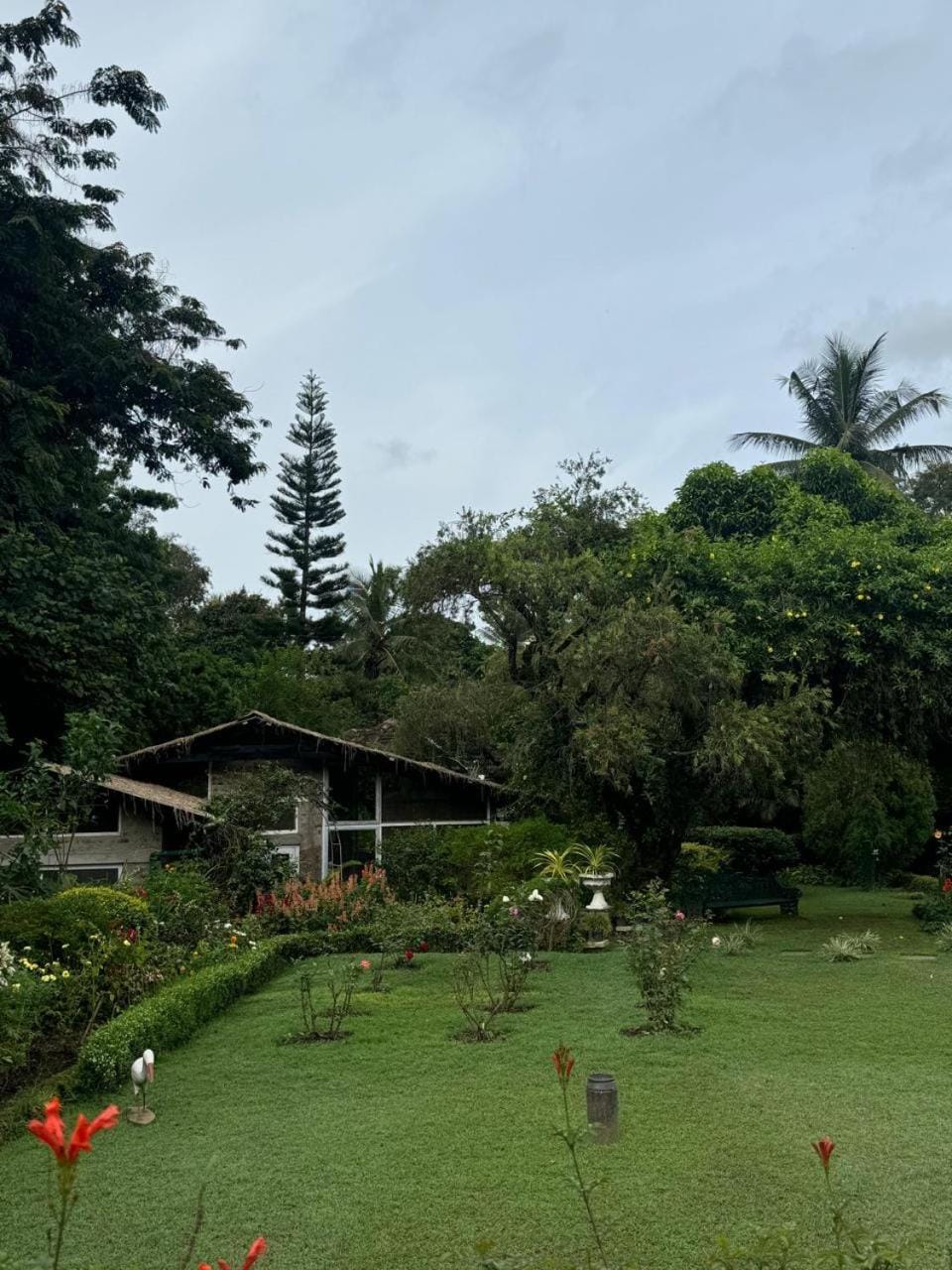 Garden view