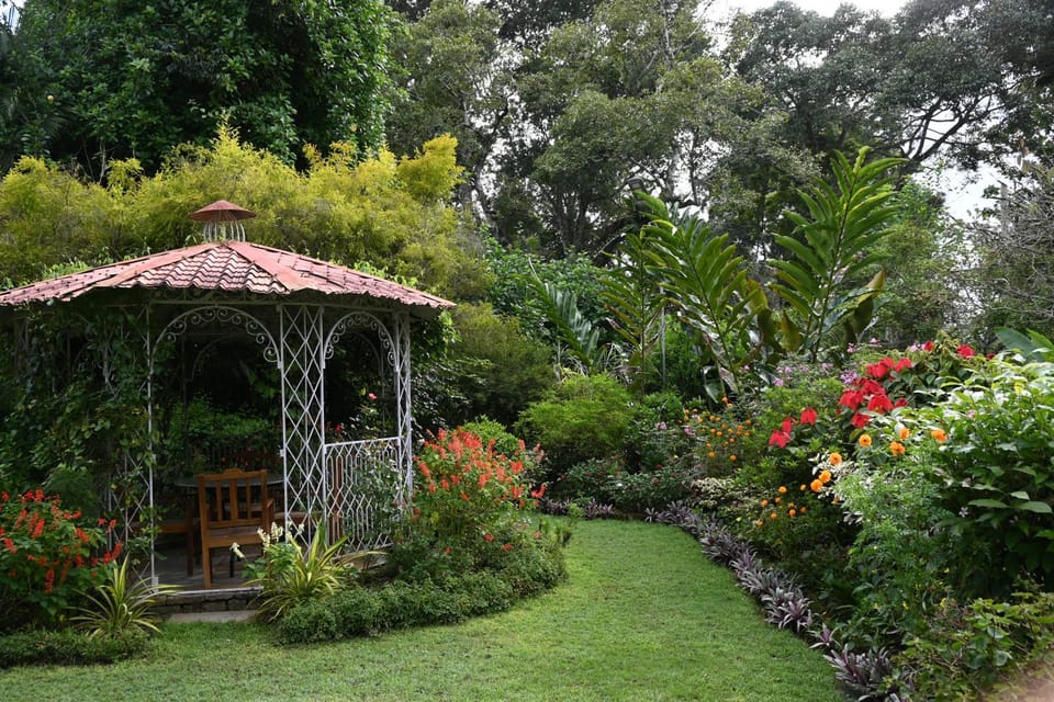 Spring, Day, Natural landscape, Garden, Garden view