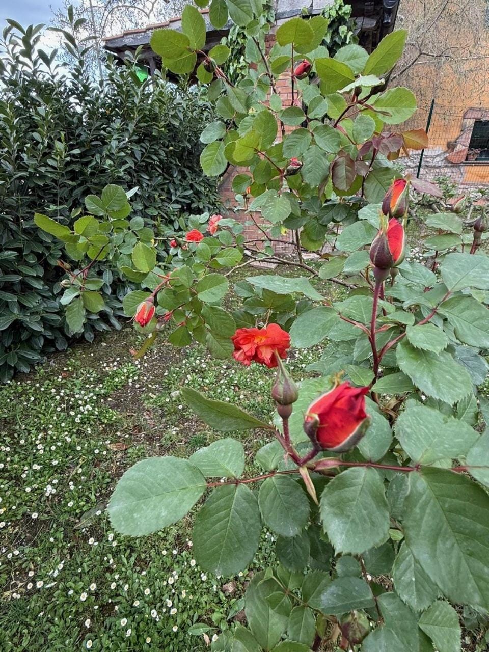 Dimora della Jana Bed and Breakfast in Umbria