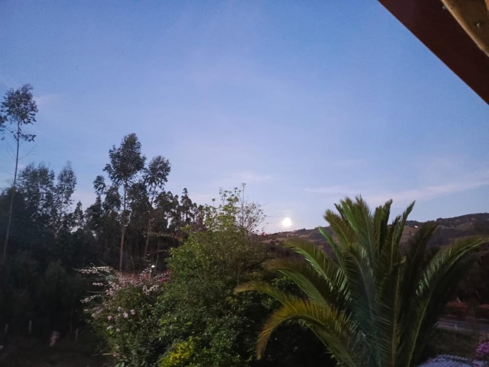 Natural landscape, Garden, Garden view, Mountain view