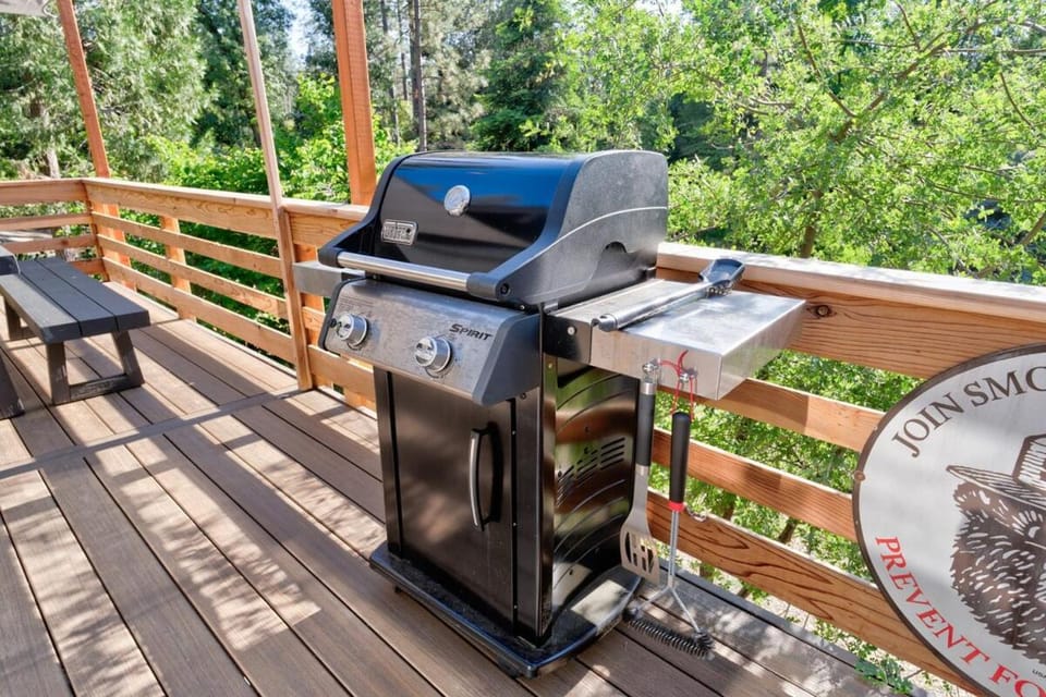 Patio, BBQ facilities