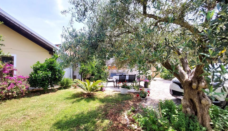 Garden, Parking