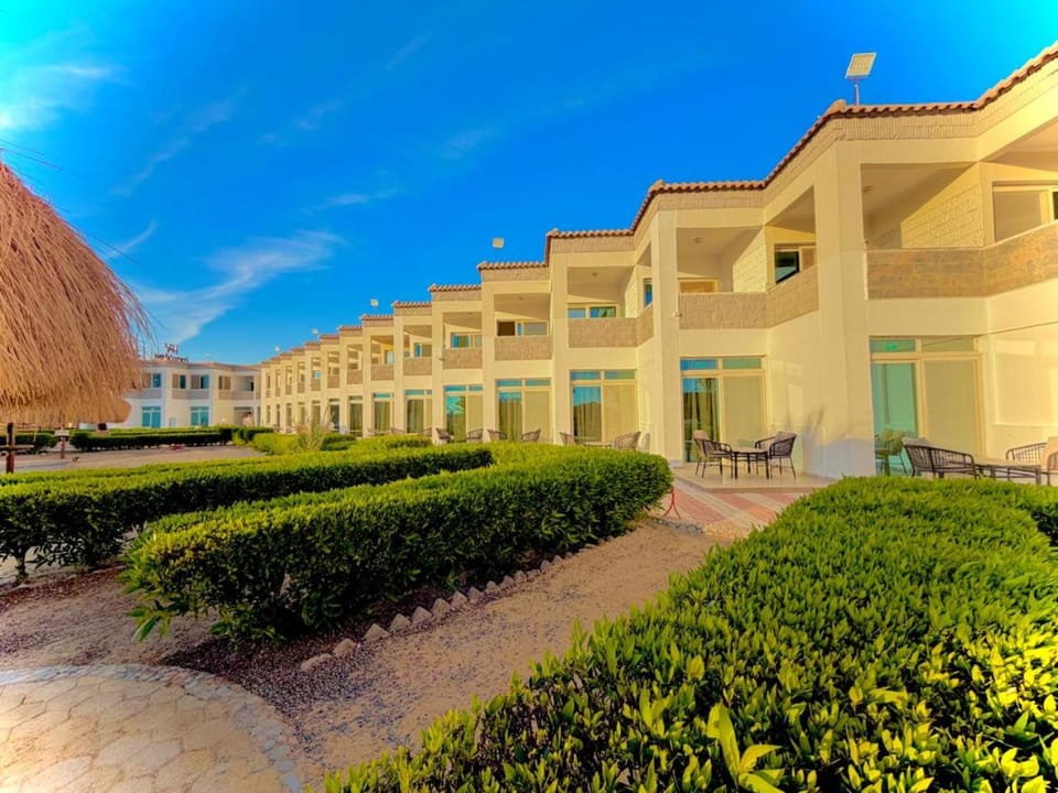 Property building, Spring, Day, Garden, Garden view