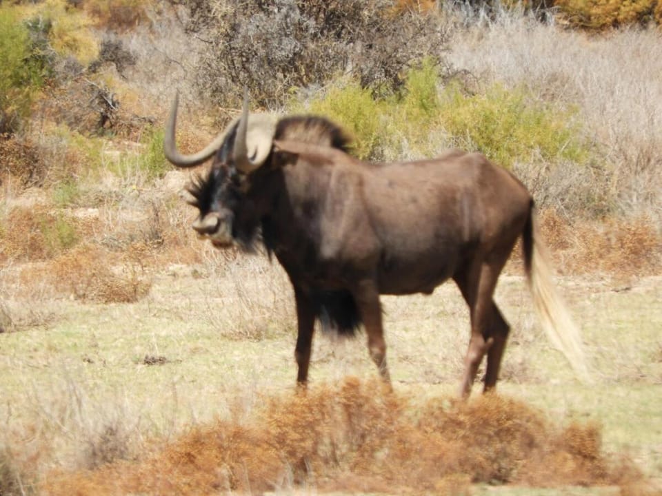 Bobbejaankrans, Touwsberg Game and Nature Reserve House in Western Cape