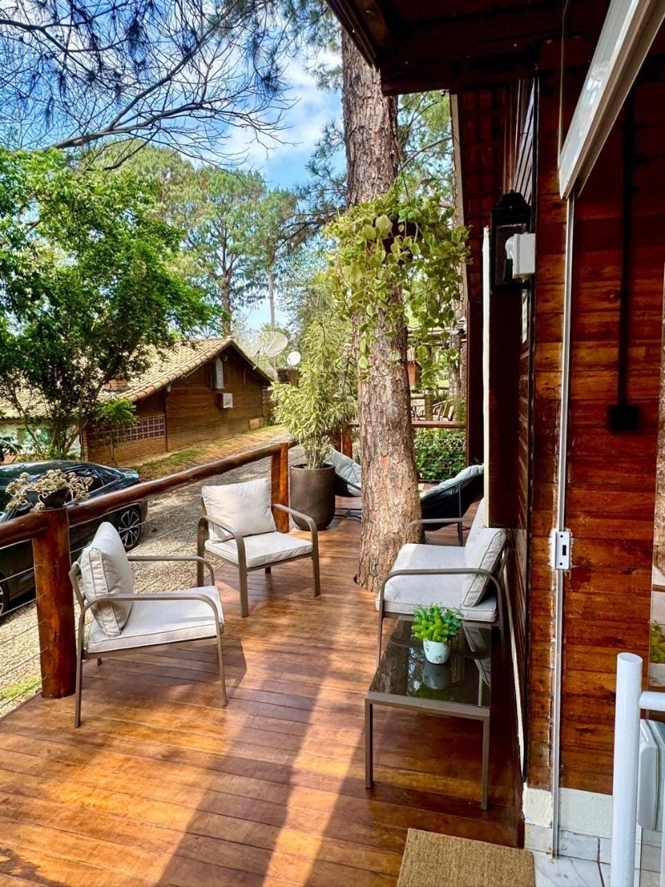 Patio, Natural landscape, Garden view