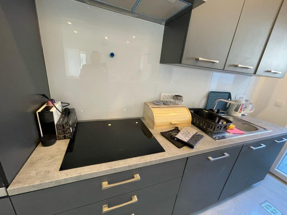 Kitchen or kitchenette, minibar, stove