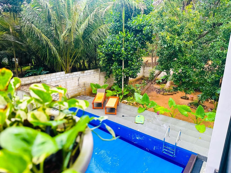 Spring, Day, Garden, Garden view, Pool view, Swimming pool
