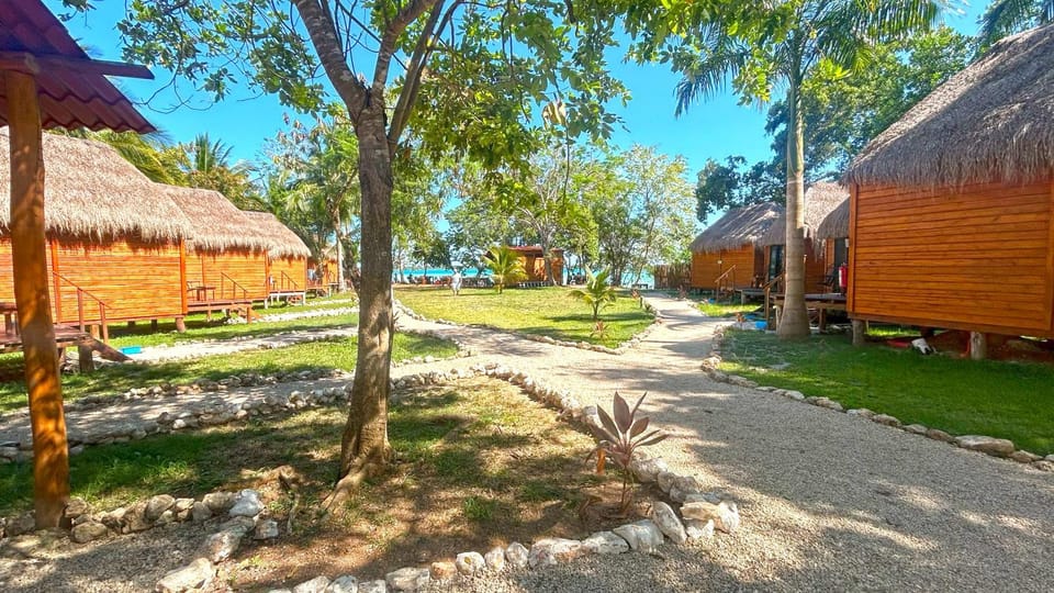 Property building, Day, Garden