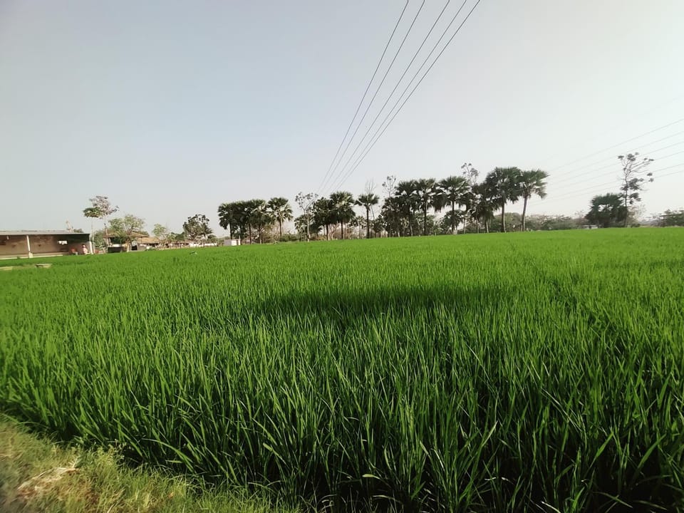 Spring, Natural landscape