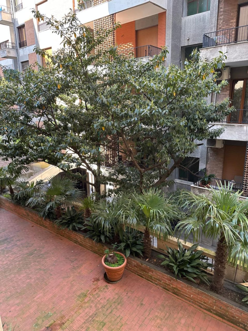 Inner courtyard view