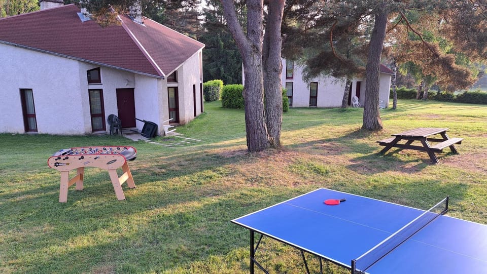 Children play ground, Garden, Table tennis, Table tennis