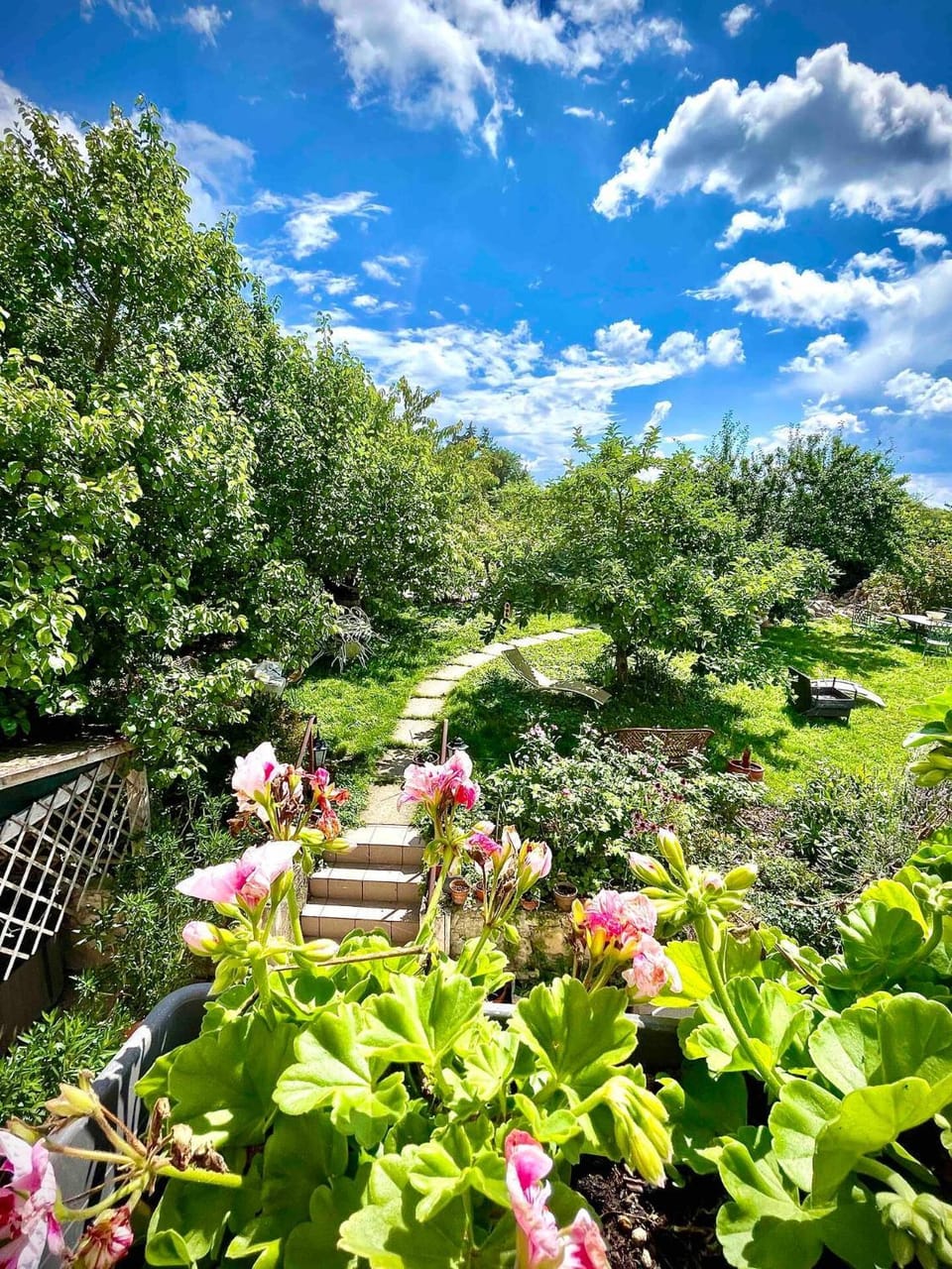 Natural landscape, Garden, Garden view